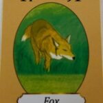 Fox – 14